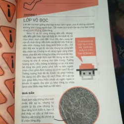 Cẩm nang khám phá cơ thể người 796149