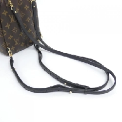 Ba lô Louis Vuitton Monogram Palm Springs MINI M44873 608258