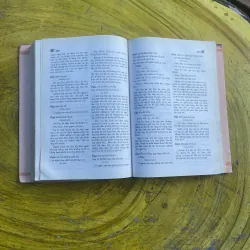 TỪ ĐIỂN THÀNH NGỮ TỤC NGỮ CA DAO VIỆT NAM QUYỂN THƯỢNG- THÀNH CHƯƠNG 798752