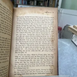 VIỆT SỬ TIÊU ÁN - NGÔ THỜI SỸ 992874