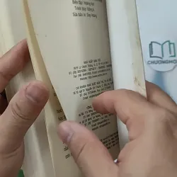 Đảo Mộng Mơ - Nguyễn Nhật Ánh 798358