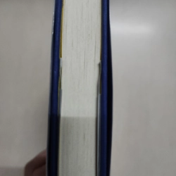 Sách Wild & Chance của Allen Zadoff mới 97% 508798