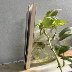 Những bất hạnh của Sophie 750755