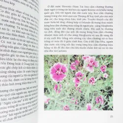 Truyện kể về các loài hoa 396532