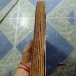 Những đứa trẻ chết già - Nguyễn Bình Phương 993611