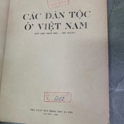 Các dân tộc ở Việt Nam (dẫn liệu nhân học, tộc người  290540