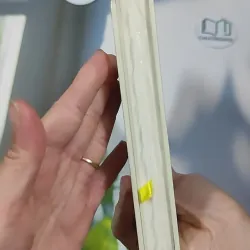 [MIỄN PHÍ BỌC SÁCH] [SEAL] Sống Trọn Tình Dân - Lê Thị Lan 990520