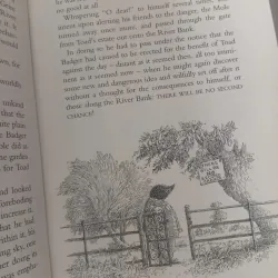 Toad Triumphant 1024548