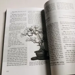 BONSAI CHO MỌI NHÀ 711666