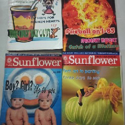 Tạp chí Sunflower từ 2005, còn tốt 60274