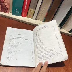 II Tự Chữa Bệnh Trong Gia Đình Bằng Thức Ăn Hằng Ngày - Nguyễn Văn Phấn, Phan Kim Huê 786782