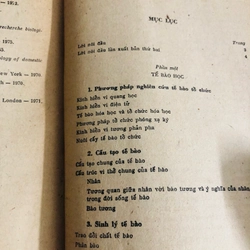 TỔ CHỨC HỌC PHÔI THAI HỌC  528079