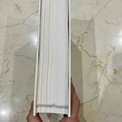 Nữ sĩ Việt Nam - Như Hiên & Nguyễn Ngọc Hiền 800304