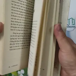 Tình Éo Le Mà Lý Oái Oăm - Lê Minh Quốc 798357