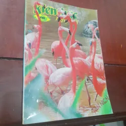 Bán nguyệt san KIẾN THỨC NGÀY NA6 số 132 ngày 15-2-1994