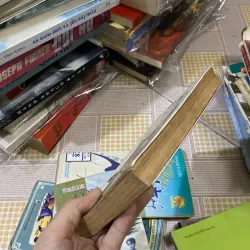 Kẻ Lừa Đảo: Truyện Ngắn Trung Quốc Hiện Đại 1011524