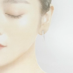 Bông tai kim cương PT900 1.025CT 1.023CT E-F VS1-VS2 VG-GOOD - Hàng hiệu Chính hãng 879863