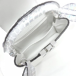 Túi xách Louis Vuitton Exotic Leather Capucines MINI N85552 619716