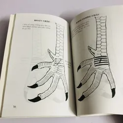 CÁCH CHỌN GÀ ĐÁ 726846