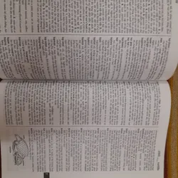 Từ điển Anh Anh Việt 571402