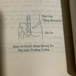 Liệu pháp bấm huyệt, NXB Y học, in năm 1998 936930