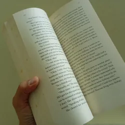 Sincl we fell, sách ngoại văn tiếng Anh, english book, tiểu thuyết  607787