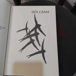 Đôi cánh + Kinh nghiệm tình ái combo 1002602