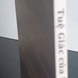 Tuệ Giác Của Phật 675478