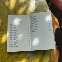 ĐỜI CALLBOY- (3)- NGUYỄN NGỌC THẠCH 706853