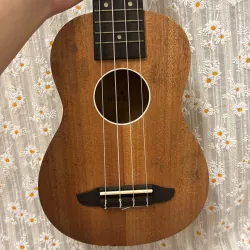 Đàn ukulele gỗ size concert 748190