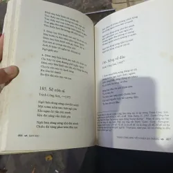 Trịnh Công Sơn Vết Chân Dã Tràng - Ban Mai  1020044