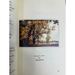 Tuyết sương cõi ngoài - Nguyễn Phúc Huyền Vi (in hải ngoại)