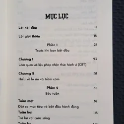 Vượt Qua Âu Lo Chữa Lành Tâm Trí - Tiến sĩ Seth J Gillihan 762768