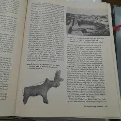 MAN'S STORY - WALLBANK 712316