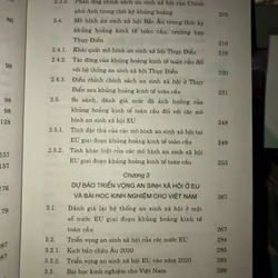 Hệ thống an sinh xã hội của một số nước EU giai đoạn hậu khủng hoảng tài chính-kinh tế  594792
