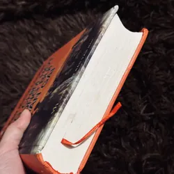 Tiếng chim hót trong bụi mận gai 737313