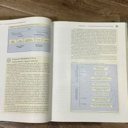 International Management: Managing Across Borders and Cultures (6th) - Helen Deresky 748995