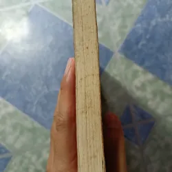 Vạn Huê Lầu diễn nghĩa - Mộng Bình Sơn 974109