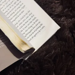 Combo 2c Freud 716754