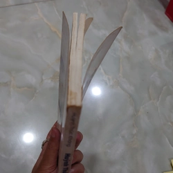HUỲNH THÚC KHÁNG NIÊN PHỔ (Huỳnh Thúc Kháng tự truyện). THƠ TRẢ LỜI KỲ NGOẠI HẦU CƯỜNG ĐỂ 300436