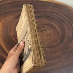 II Sức Khoẻ: Chăm Sóc Sức Khoẻ - DAVID WERNER - 1983 1010438