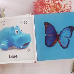 Baby's First Colours 961424