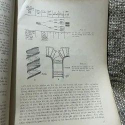 Virus (virut) học - sách dịch từ tiếng Nga - gần 250 trang khổ lớn  1018612