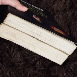 Những kẻ điên rồ phải chết ( 2 tập) 776781