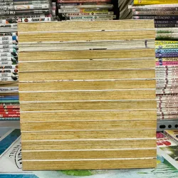 Mar đọc ngược Full 15 tập 1024399