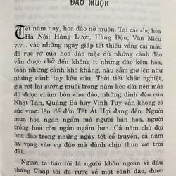 Đào Muộn - Mai Ngữ 385135