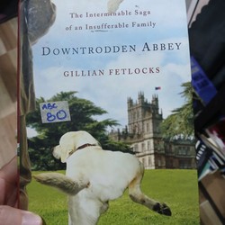 Downtrodden Abbey: The Interminable Saga Of An Insufferable Family - Gillian Fetlocks