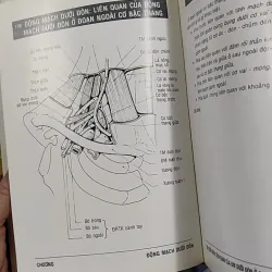 [MIỄN PHÍ BỌC SÁCH] Giải Phẫu (Đầu - Mặt - Cổ) - TS. Phạm Đăng Diệu 990450