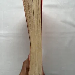 The Rosie Project - Graeme Simsion  793180