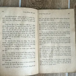 Trong Bóng Tình Yêu - Max Du Veuzit (Sách Trước 75, Phan-Sinh dịch) 738008